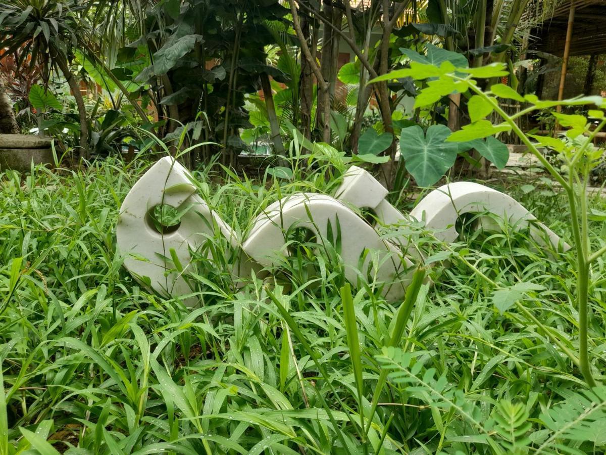 Nha Lua Homestay Ninh Bình Extérieur photo