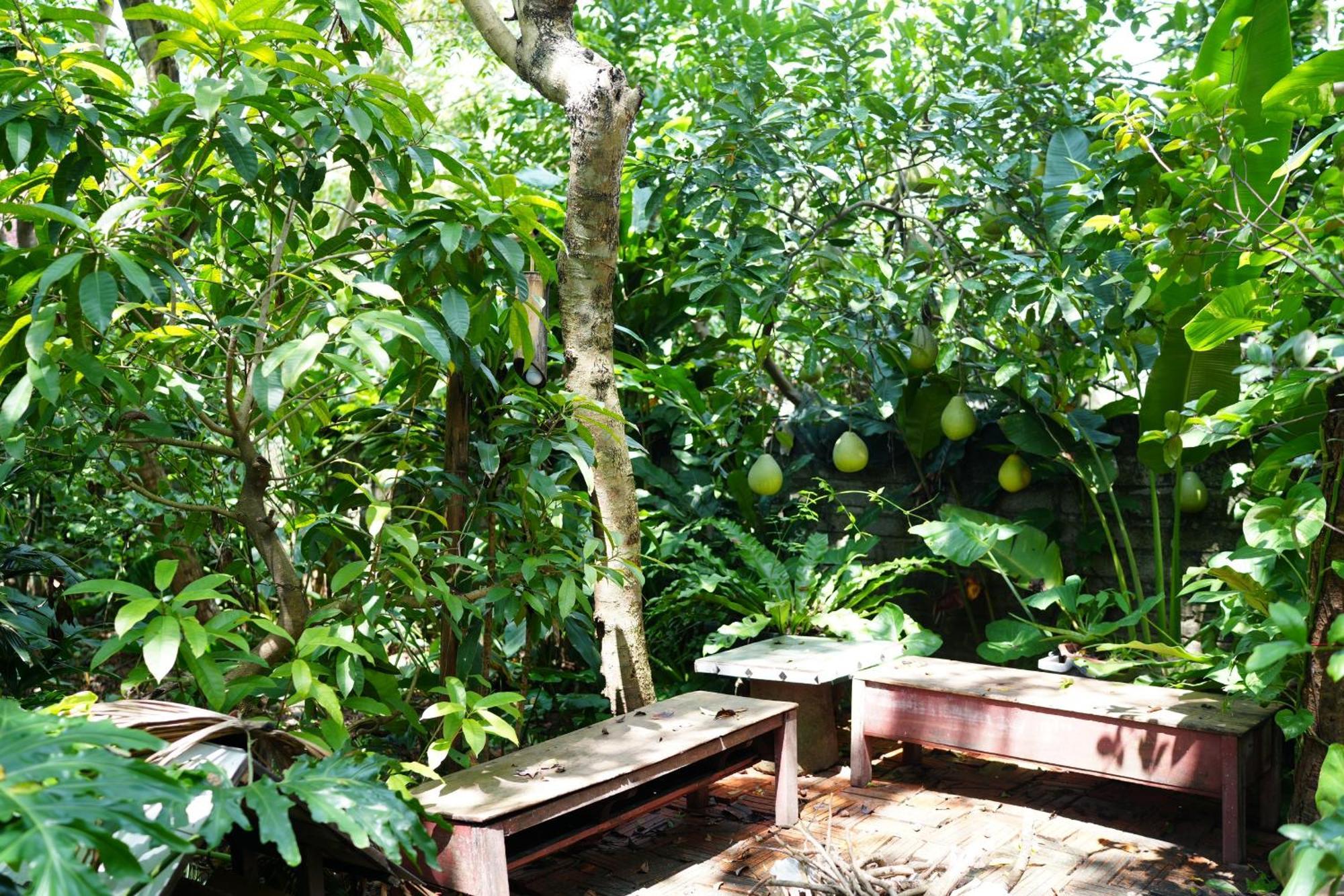 Nha Lua Homestay Ninh Bình Extérieur photo