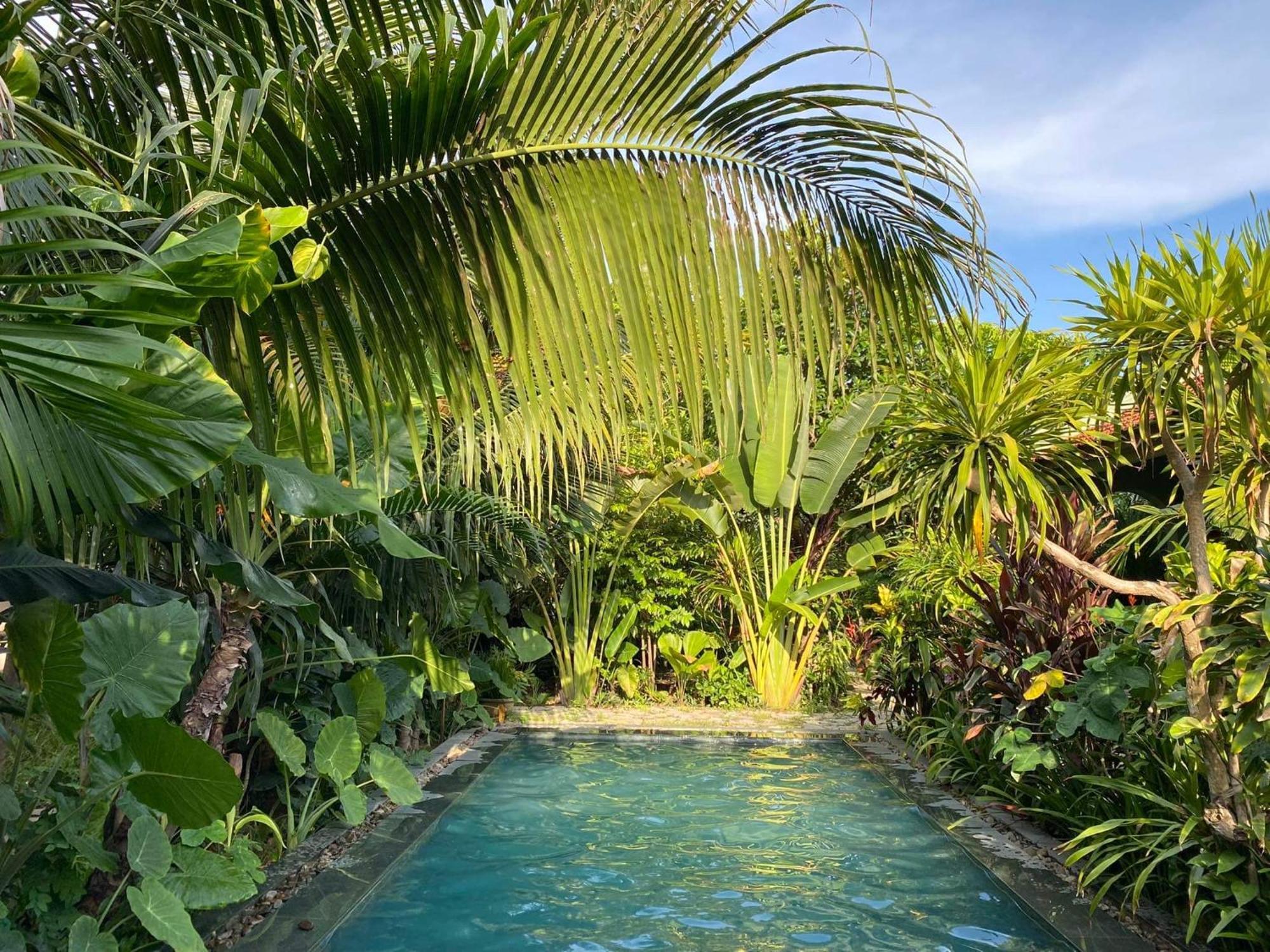 Nha Lua Homestay Ninh Bình Extérieur photo