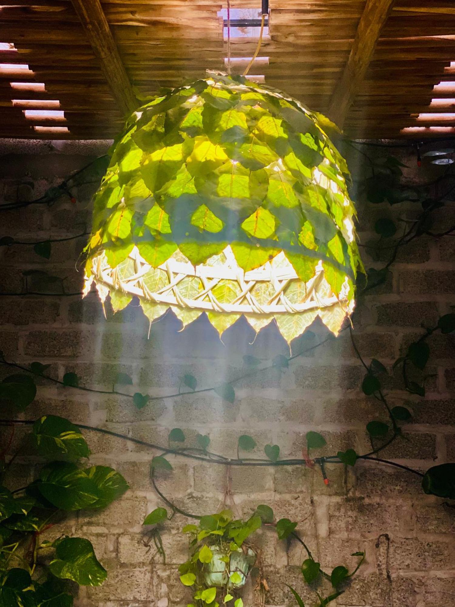 Nha Lua Homestay Ninh Bình Extérieur photo